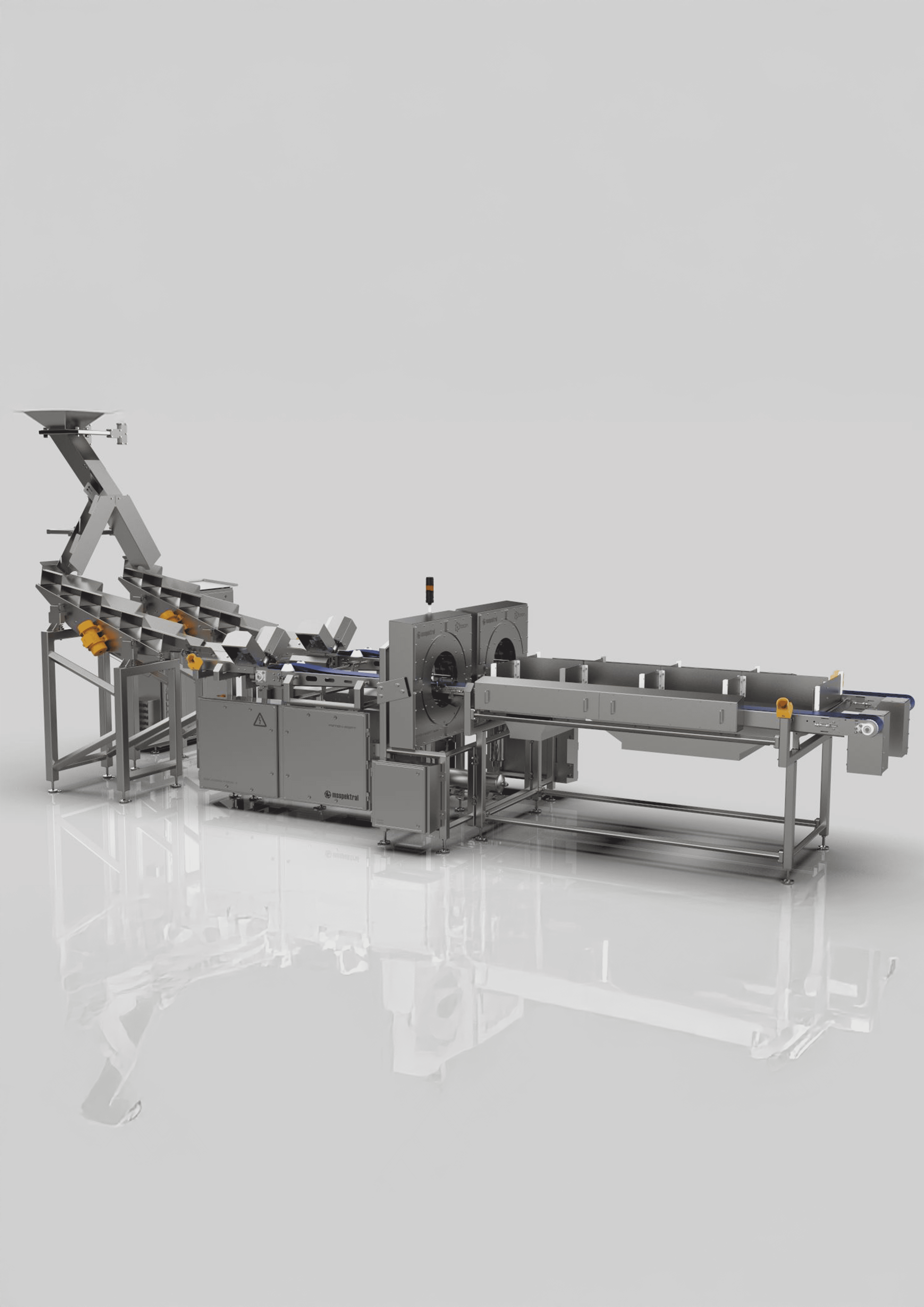 Optical Chicken Feet Sorting System