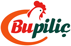 Bupiliç