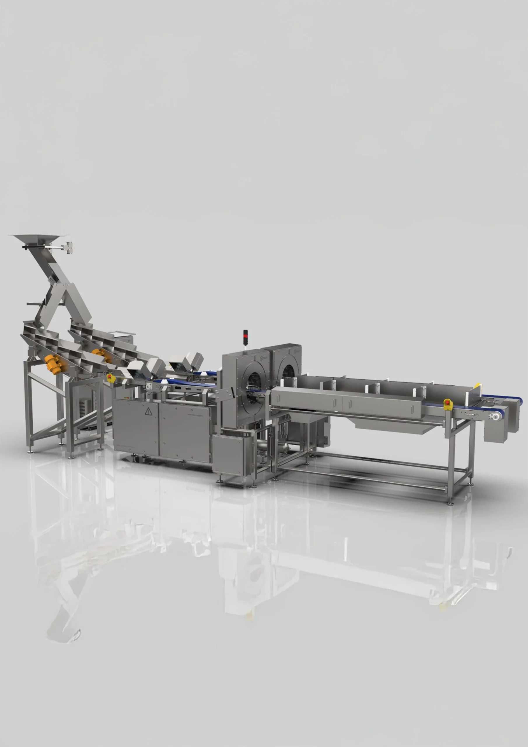 Optical Chicken Feet Sorting System